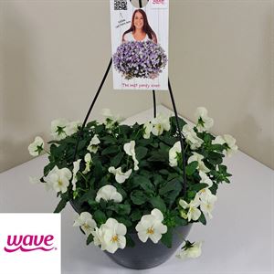 Bild von Viola HP27 Cool Wave White